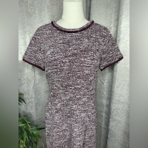 NWT LOFT Women’s Short Sleeve Fringe Trim Tweed A-Line Dress Purple Sz 8 - Picture 4 of 14
